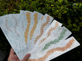 Lei Strand Stickers